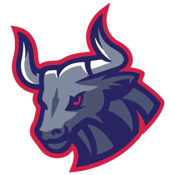 Design Book Adult - Raging Bull - AD51 Thumbnail